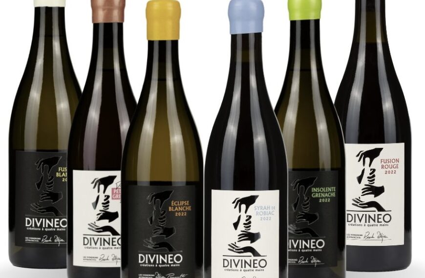 Celebrate the Festive Season with DIVINEO’s Exclusive Wine Collection